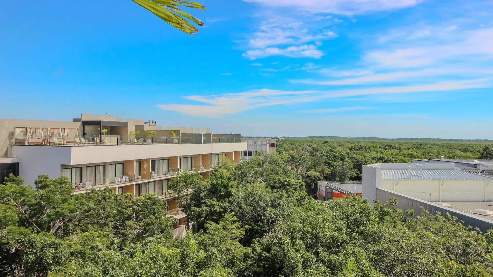Luxury Studio With Rooftop Pool In Tulum Best Location Daire