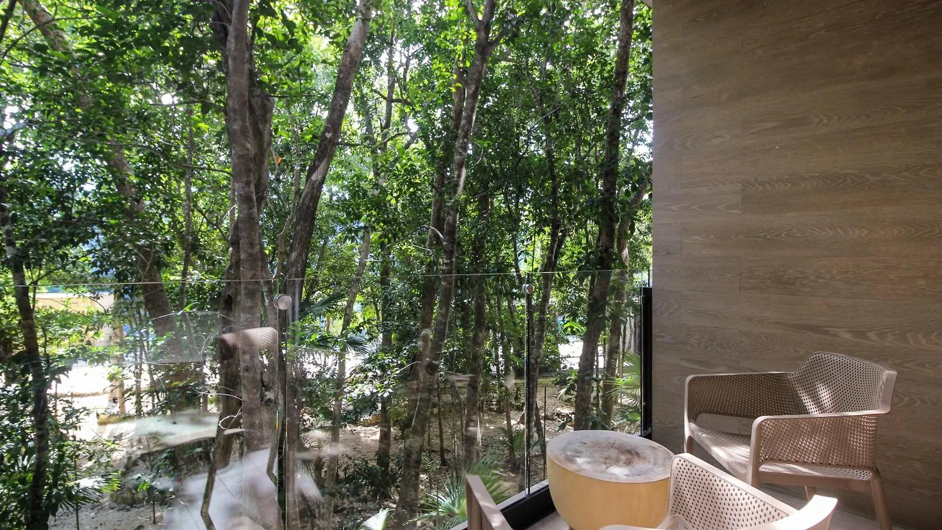 Luxury Studio With Rooftop Pool In Tulum Best Location 0*,  Meksika