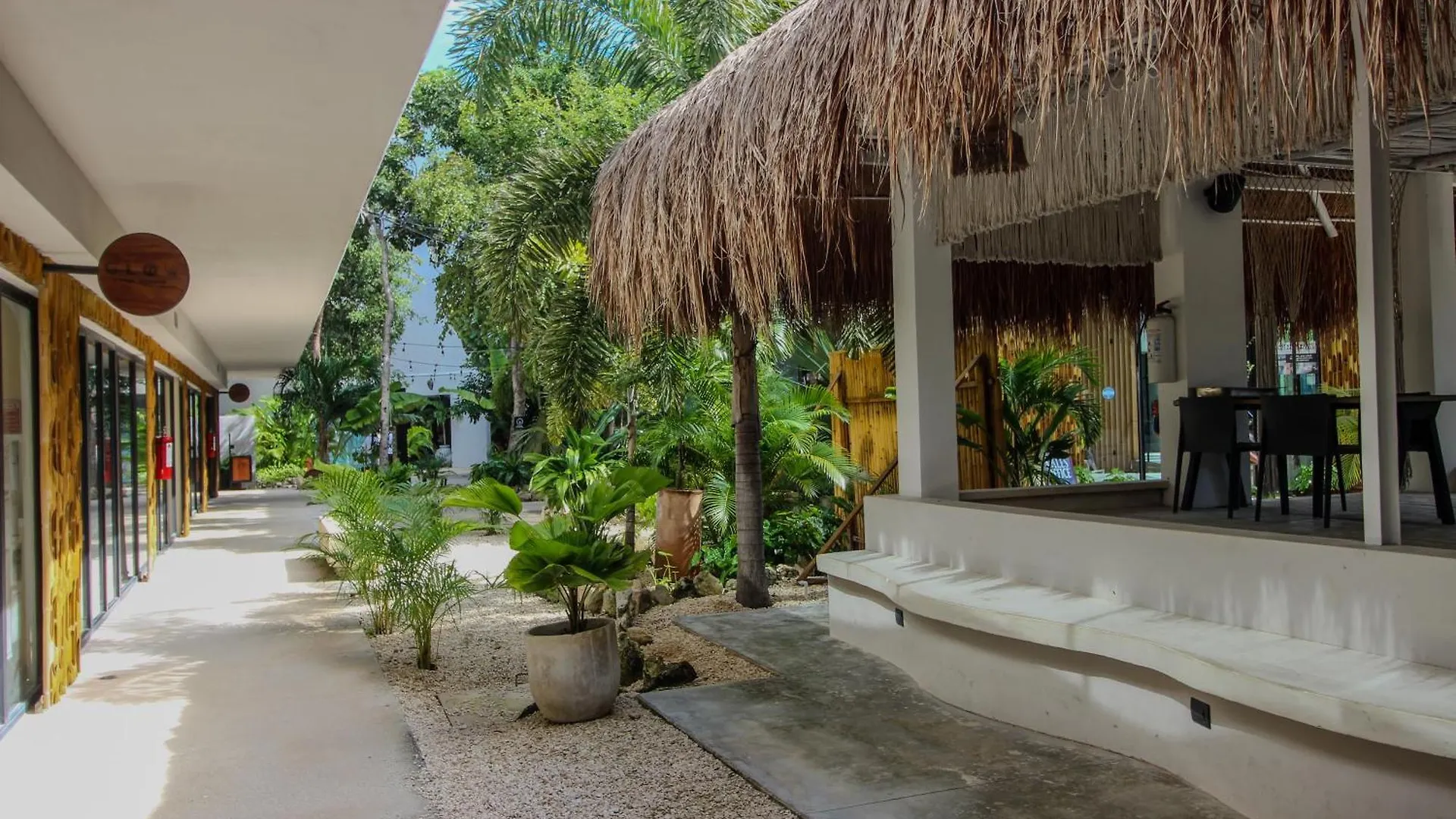 Luxury Studio With Rooftop Pool In Tulum Best Location Daire