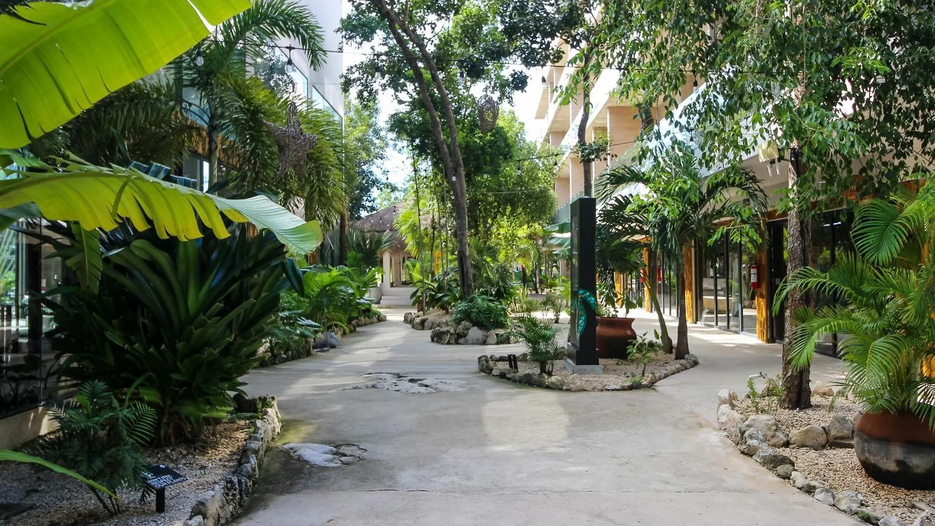 Apartament Luxury Studio With Rooftop Pool In Tulum Best Location
